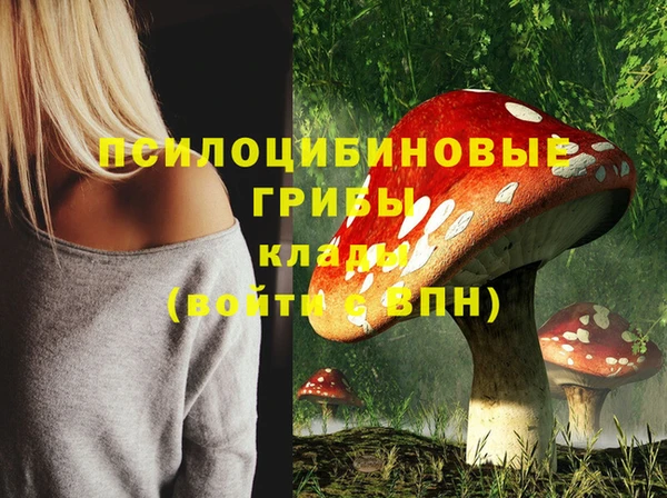 дурь Горнозаводск
