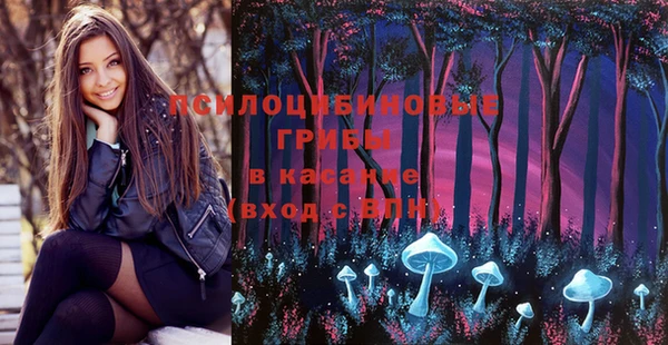 дурь Горнозаводск