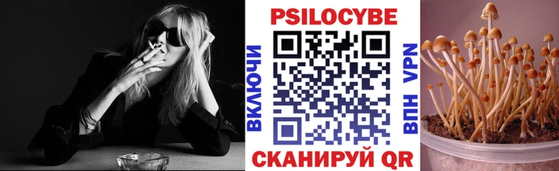 Галлюциногенные грибы Cubensis  ссылка на мегу tor  Дыгулыбгей  купить наркотики сайты 